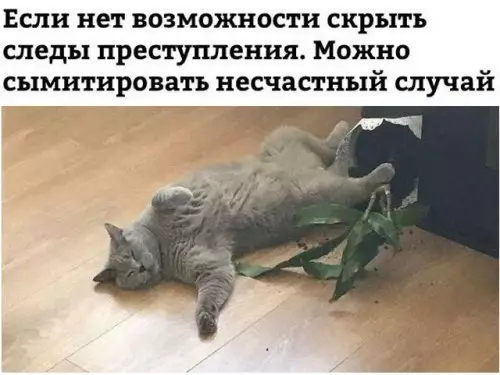 Смешная картинка №300696