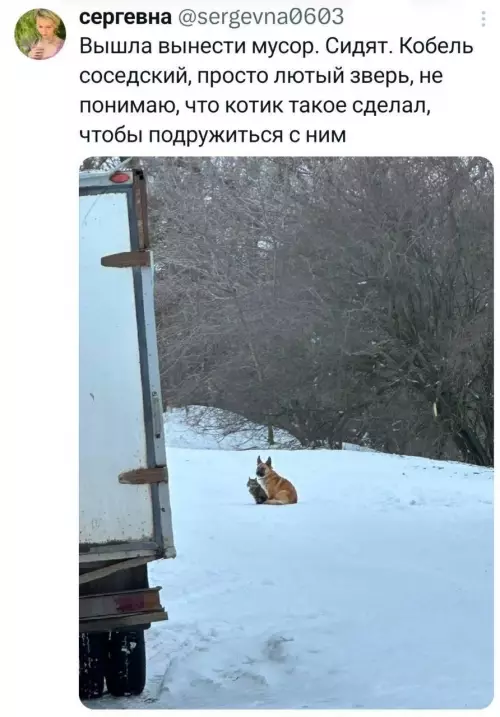 Смешная картинка №801242