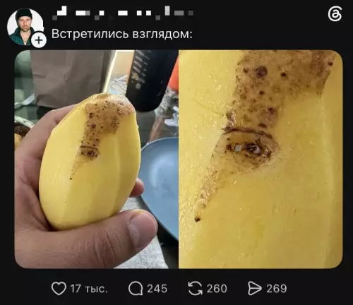 Осторожно, картоха следит за тобой! 👀🥔 - Встретились взглядом: