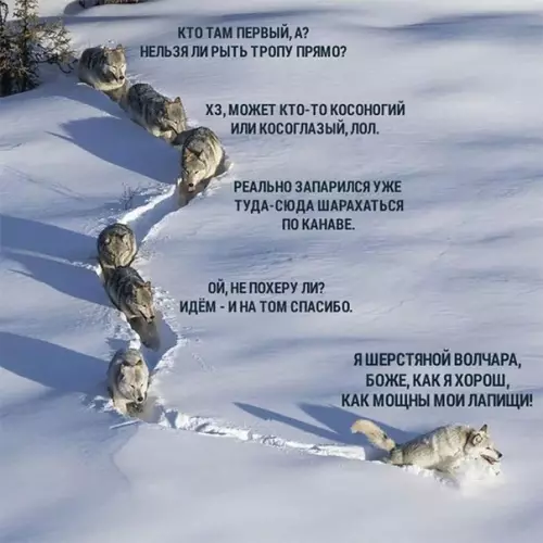 Смешная картинка №244695