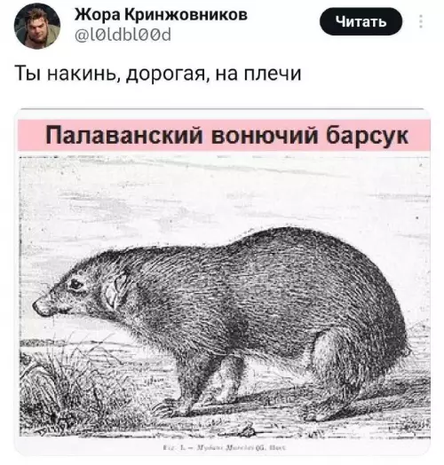 Смешная картинка №728899 Накинь