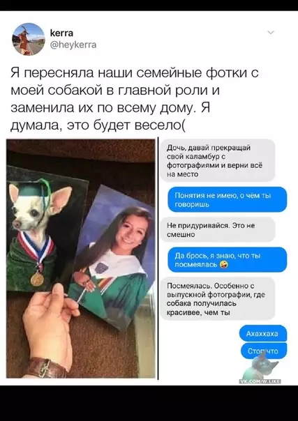 Смешная картинка №359633