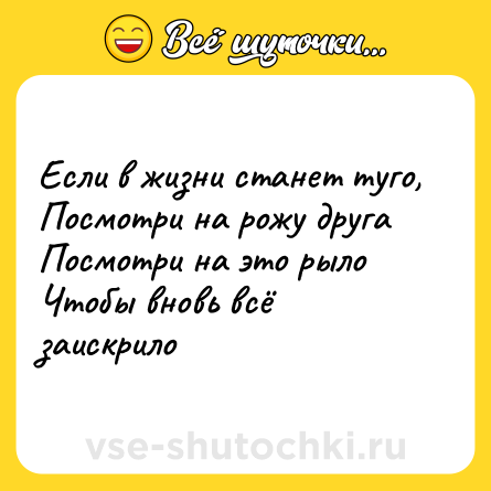 Шутка: Если в жизни станет туго,<br>Посмотри на рожу друга<br>Посмотри на это рыло<br>Чтобы вновь всё заискрило