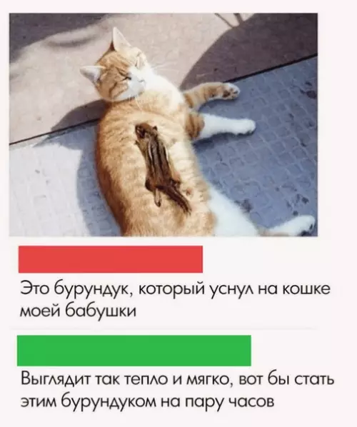 Смешная картинка №509535