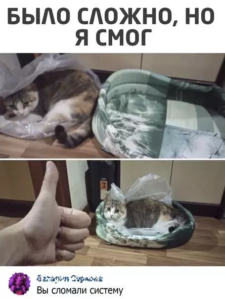 Смешная картинка №570990