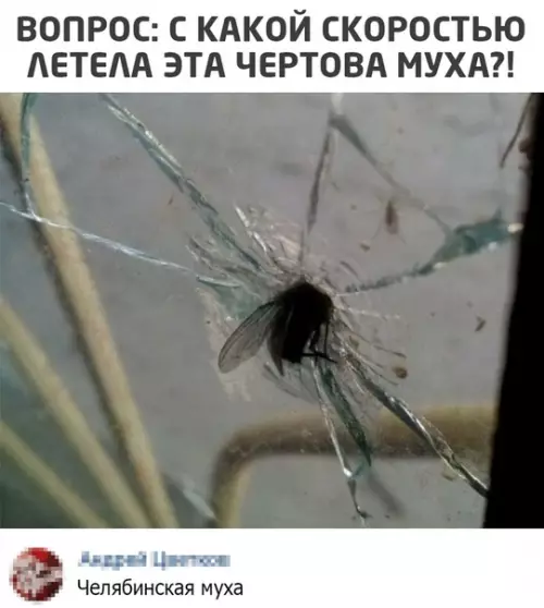 Смешная картинка №529961