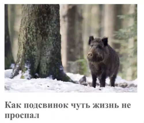 Смешная картинка №634078 Если бы я писал автобиографию