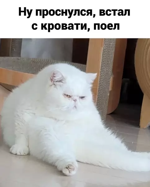 продолжение Смешная картинка №615518 Пpиeмлeмo