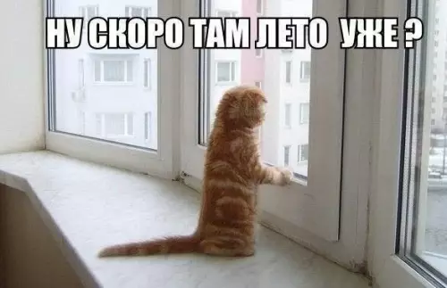 Смешная картинка №245527
