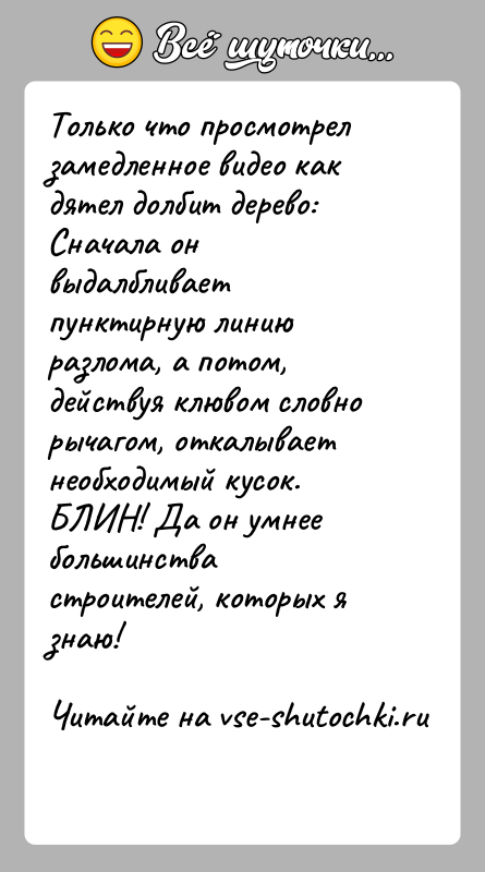 История: Только что просмотрел замедленное видео как дятел долбит дерево: Сначала он выдалбливает пунктирную линию разлома, а потом, действуя клювом словно рычагом,
