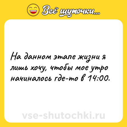 Шутка: На данном этапе жизни я лишь хочу, чтобы мое утро начиналось где-то в 14:00.