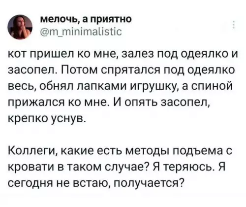 Кот против работы: план по спасению 🐾 - мелочь, а приятно m minimalistic кот пришел ко мне, залез