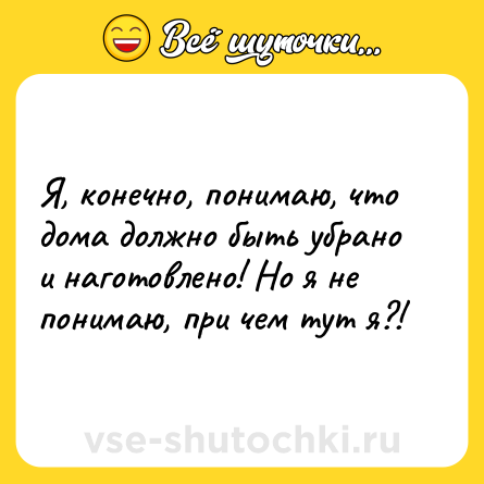 Шутка: Я, конечно, понимаю, что дома должно быть убрано и наготовлено! Но я не понимаю, при чем тут я?!