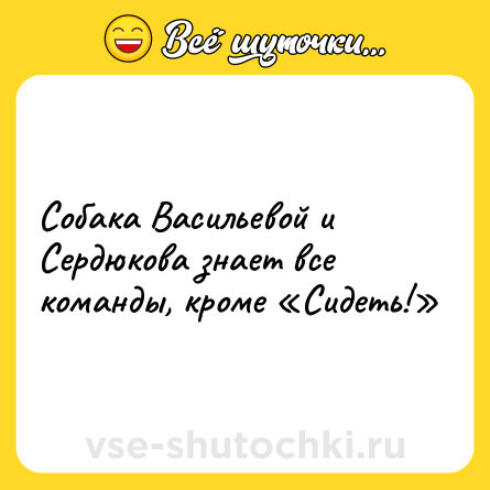 Шутка: Собака Васильевой и Сердюкова знает все команды, кроме «Сидеть!»