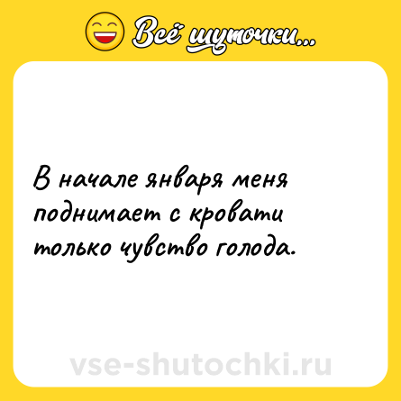 Шутка: В начале января меня поднимает с кровати только чувство голода.