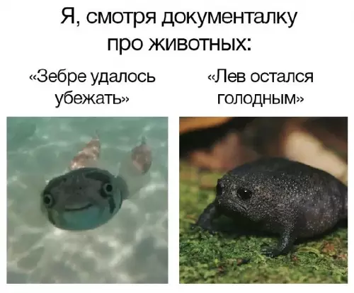 Смешная картинка №682107