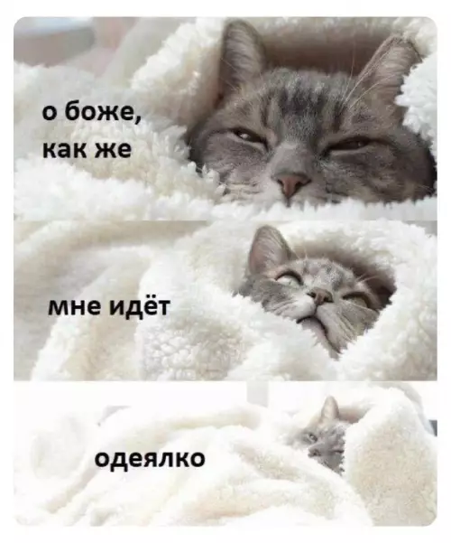 Смешная картинка №690425