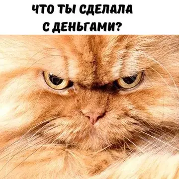 Смешная картинка №740784