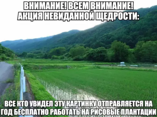 Смешная картинка №753804 Спасибо