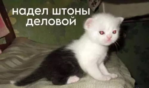Смешная картинка №778511