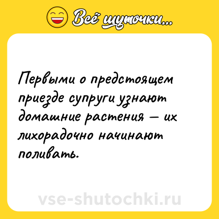 Шутка: Первыми о предстоящем приезде супруги узнают домашние растения — их лихорадочно начинают поливать.