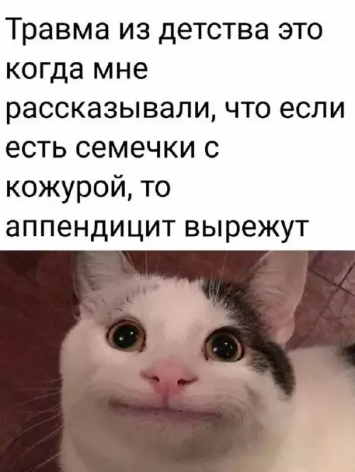 Смешная картинка №697841
