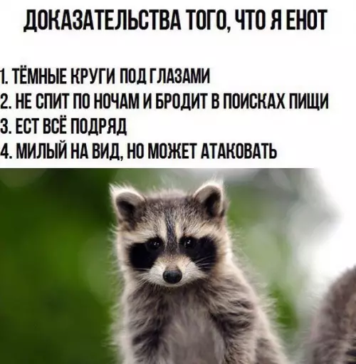 Смешная картинка №257824