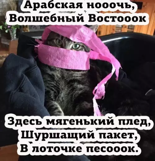 Смешная картинка №285622