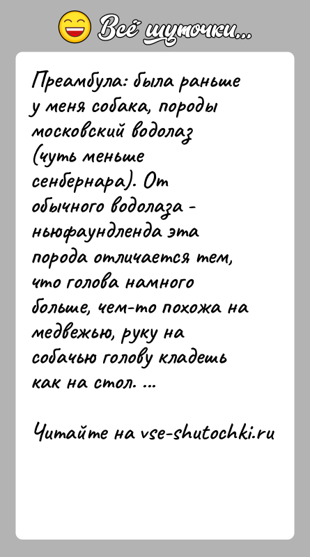 История: Преамбула: была раньше у меня собака, породы московский водолаз (чуть меньше сенбернара). От обычного водолаза - ньюфаундленда эта порода отличается