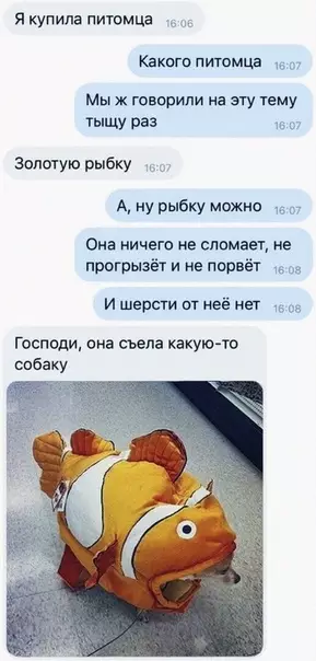 Смешная картинка №390429 Когдa с чувством юморa вce в полном порядке: