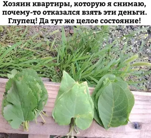 Смешная картинка №227286