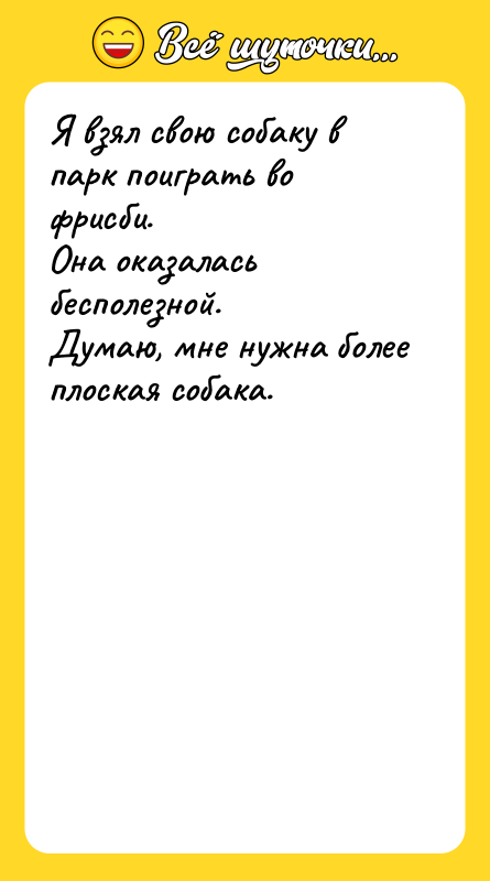 Я взял свою собаку в парк поиграть во фрисби. Она