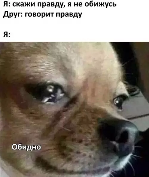 Смешная картинка №740284