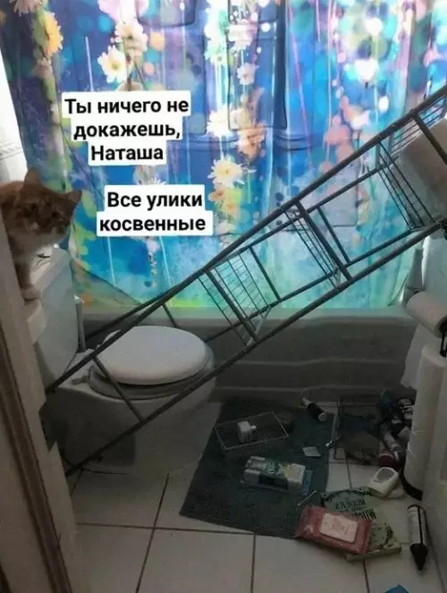 Наташа, это катастрофа! 🙀 - Ты ничего не докажешь, Наташа. Все улики косвенные