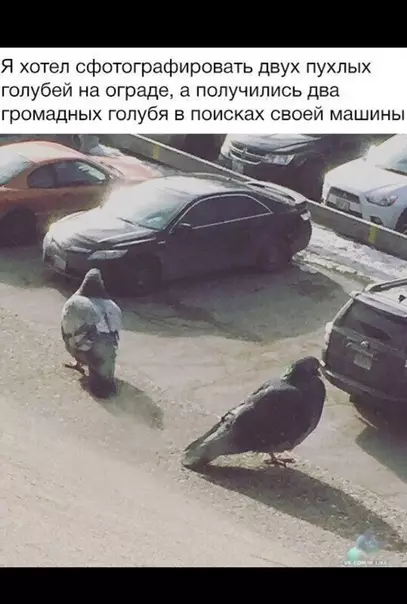 Смешная картинка №371199