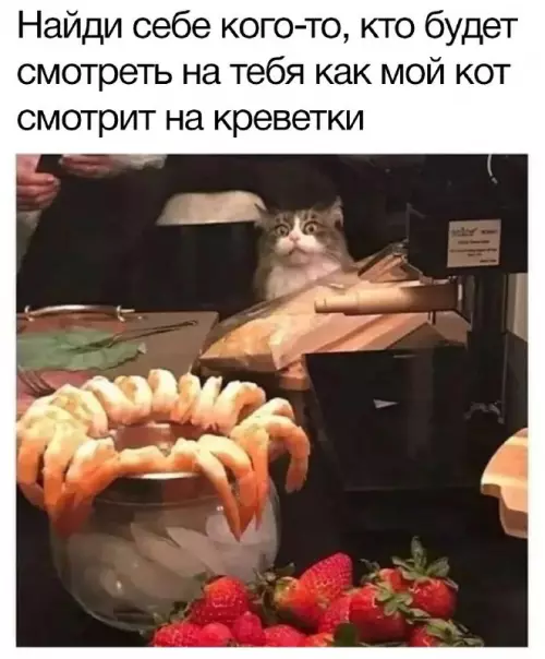 Смешная картинка №702765