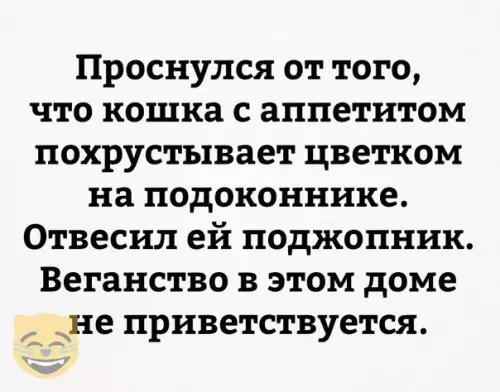 Смешная картинка №334889 #приколы #картинки #мемы ?