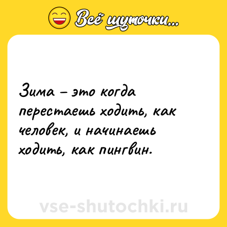 Шутка: Зима – это когда перестаешь ходить, как человек, и начинаешь ходить, как пингвин.