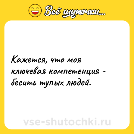 Шутка: Кажется, что моя ключевая компетенция - бесить тупых людей.