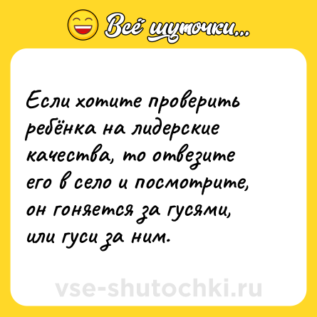 Шутка: Если хотите проверить ребёнка на лидерские качества, то отвезите его в село и посмотрите, он гоняется за гусями, или гуси за ним.