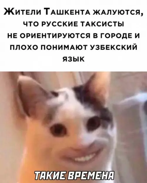 Смешная картинка №659536