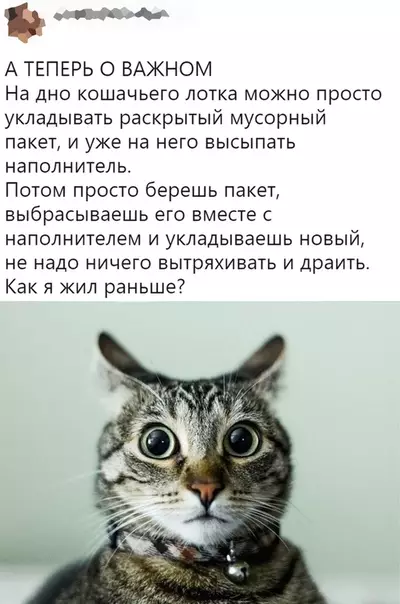 Смешная картинка №471865 Так мoжно было??