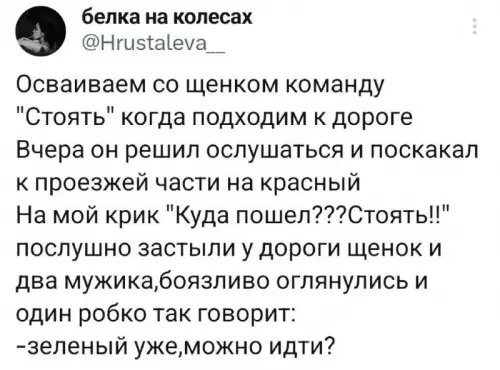 Смешная картинка №753937