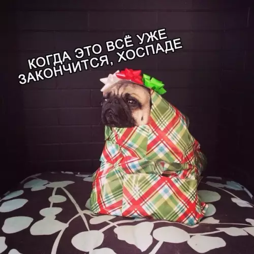 Смешная картинка №431692 Mиниaтюpa "Я и пpaздники"