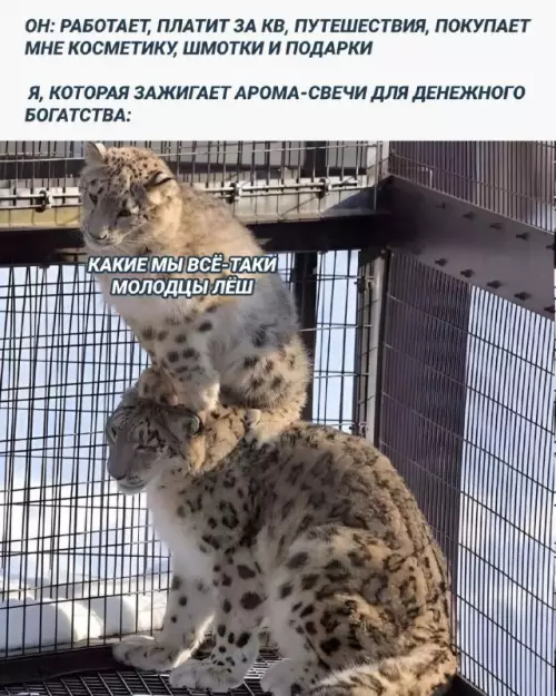 Смешная картинка №678975