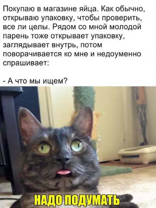 Смешная картинка №661971