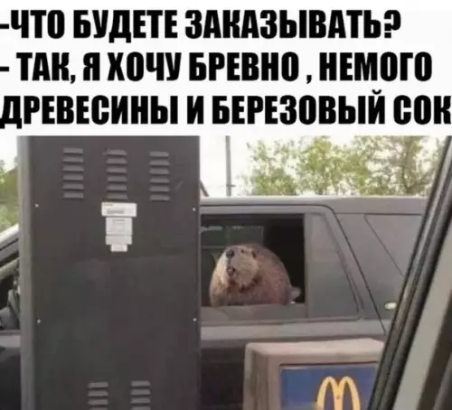 Смешная картинка №363302 Бобрональдс