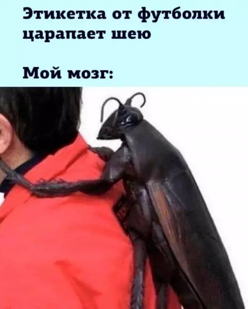 Смешная картинка №683502