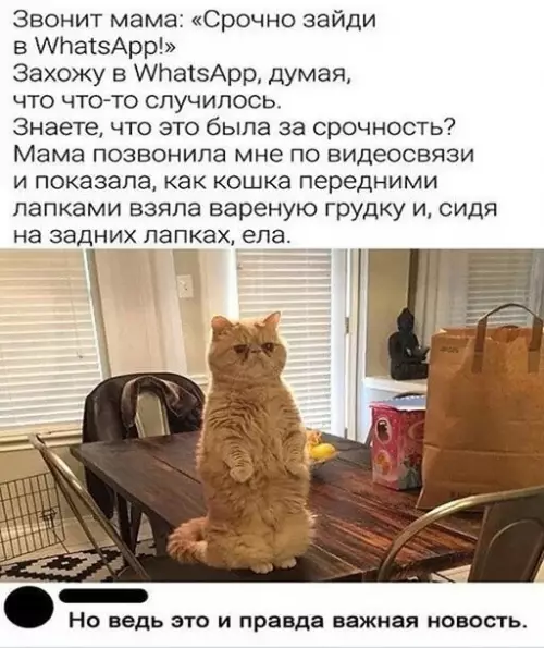 Смешная картинка №655415