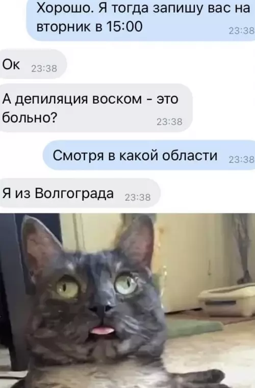 Смешная картинка №649554 Ну а что неплох